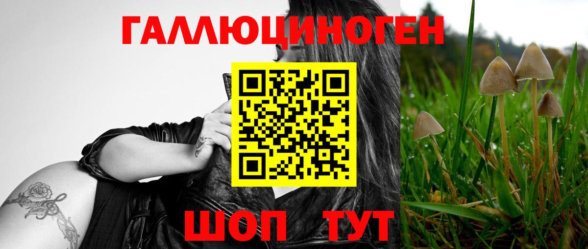 Псилоцибиновые грибы мухоморы Горячий Ключ